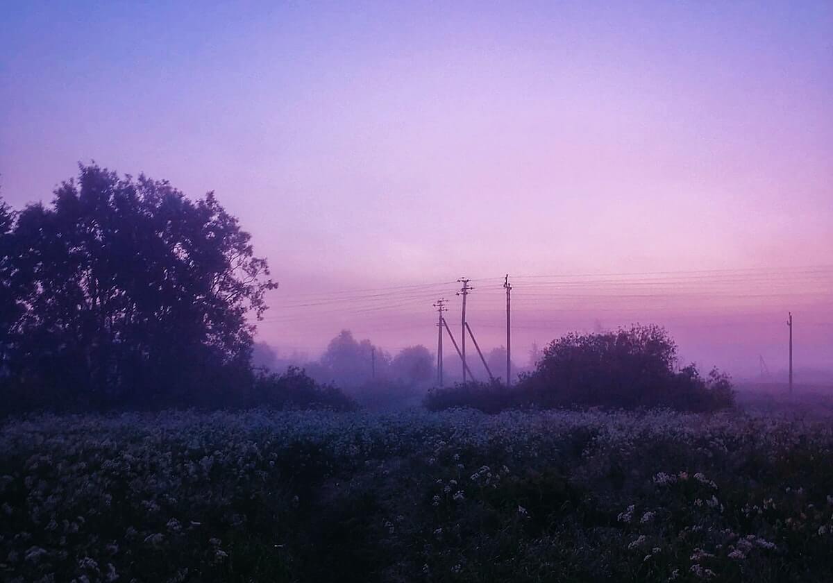 半岛体育官方网站的魅力与信赖之路